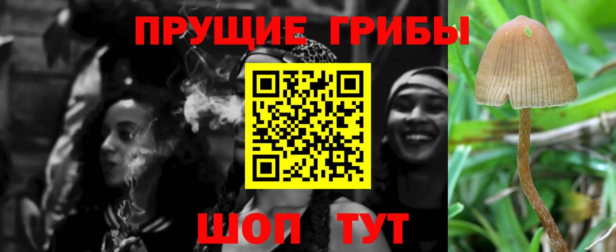 Галлюциногенные грибы мухоморы Первоуральск